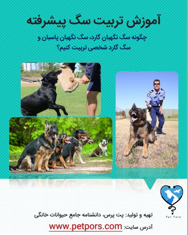 دانلود کتاب آموزش تربیت سگ نگهبان (PDF) + تربیت سگ گارد و ... 