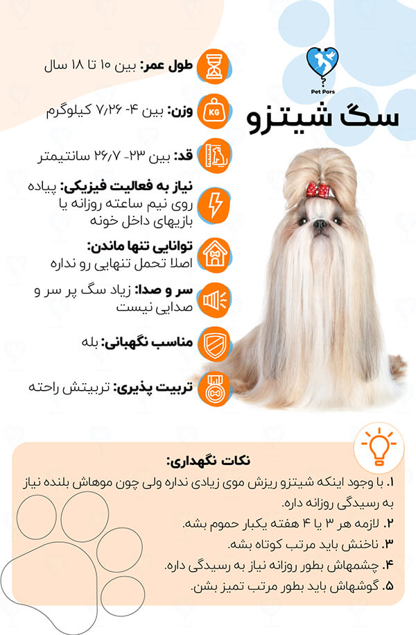 اینفوگرافی معرفی سگ shih tzu