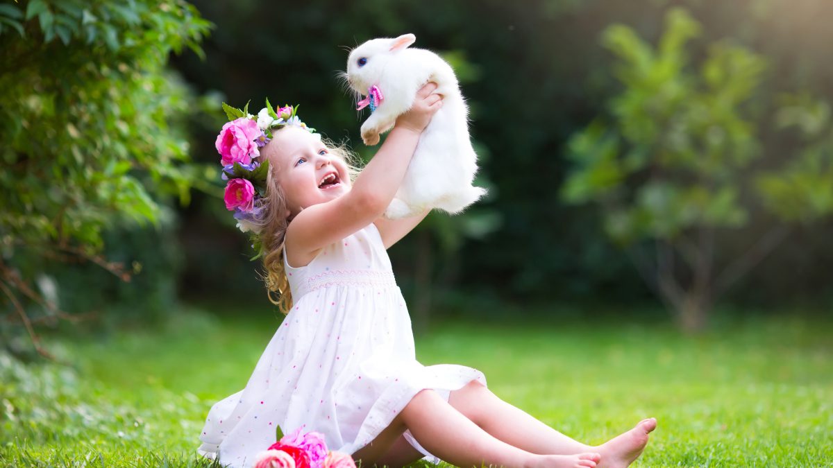 خرگوش حیوان خانگی مناسب برای کودکان