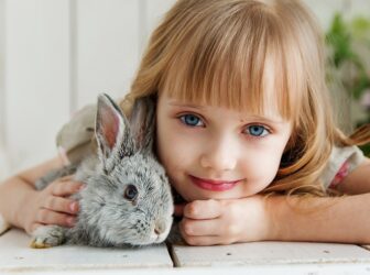 چطور به خرگوش آموزش بدیم؟ (راهنمای تربیت خرگوش)