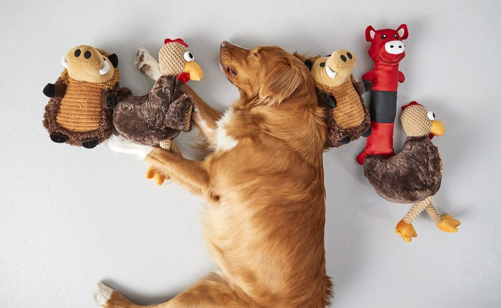 سگ به همراه اسباب بازی هایش
