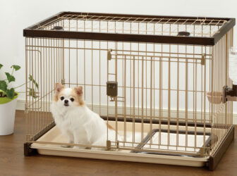 راهنمای انتخاب و خرید باکس یا قفس سگ