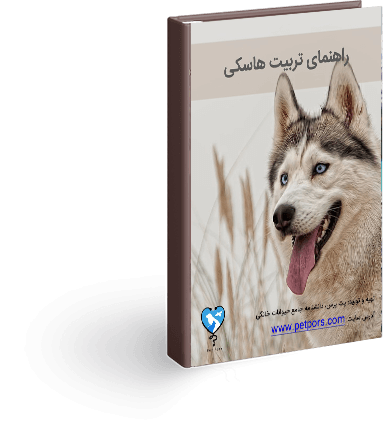 کتاب آموزش و تربیت سگ هاسکی