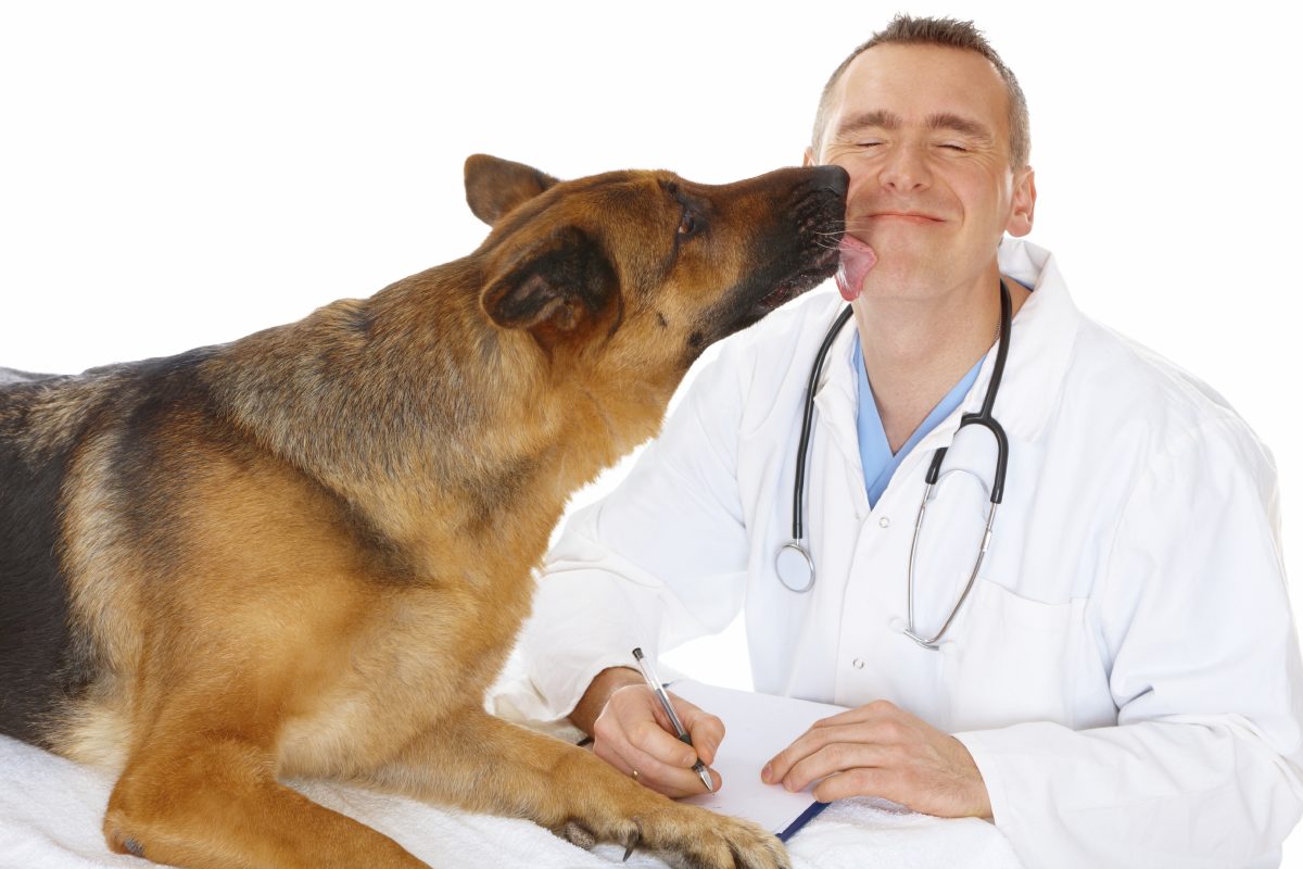 محبت کردن سگ به دکترش