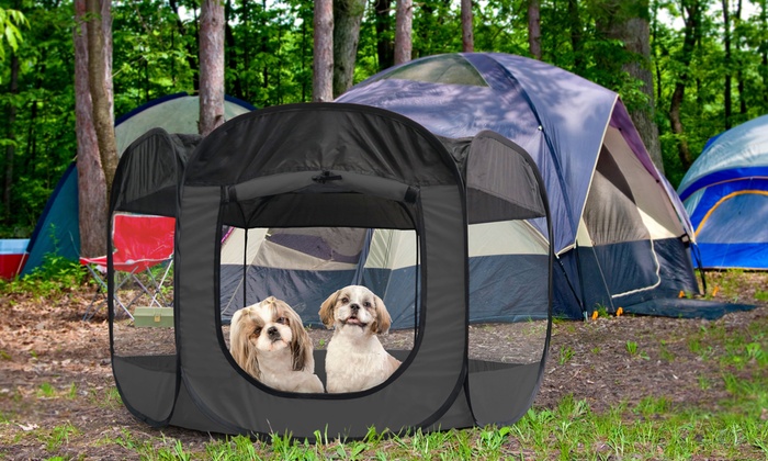 پارک چادری برای سگ