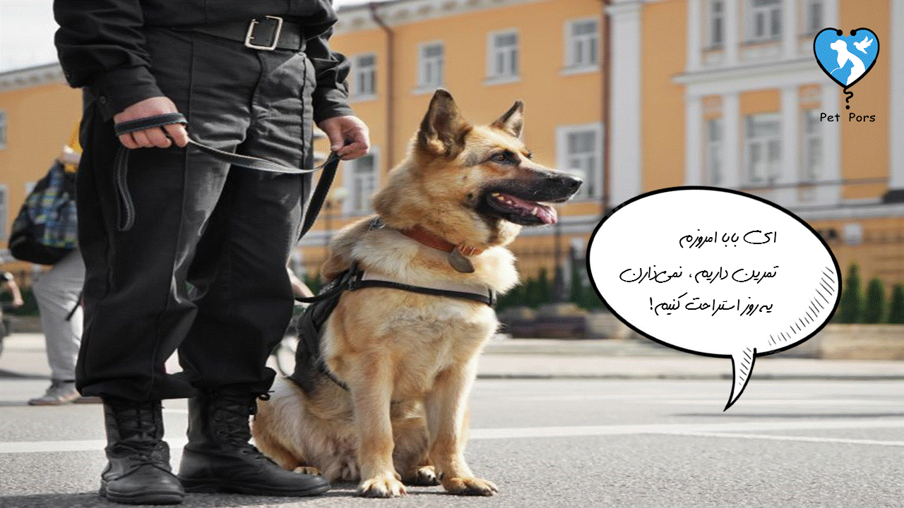 سگ نگهبان پلیس
