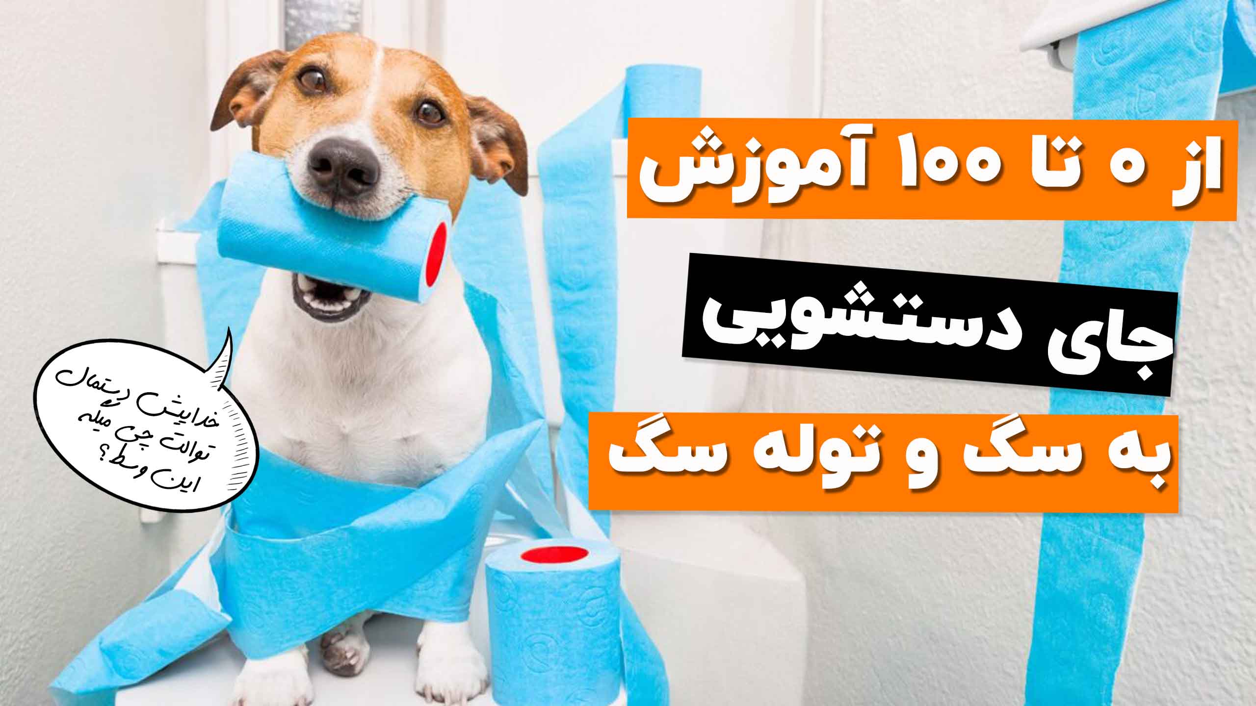 آموزش دستشویی به سگ