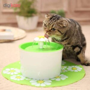 فواره آب گربه