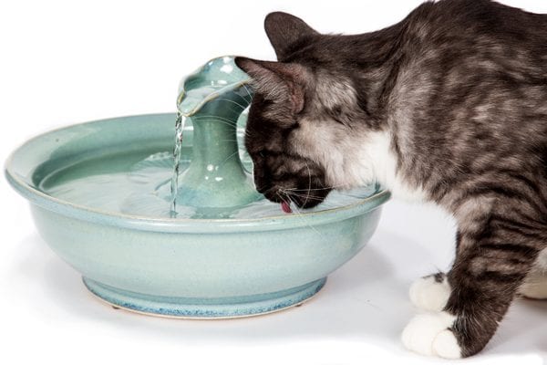 خرید آبخوری فواره ای گربه 