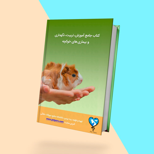 کتاب نگهداری و تربیت خوکچه هندی