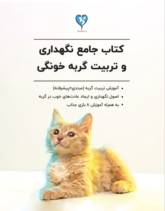 کتاب تربیت و نگهداری گربه