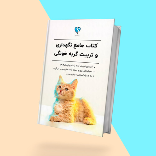 کتاب تربیت و نگهداری گربه