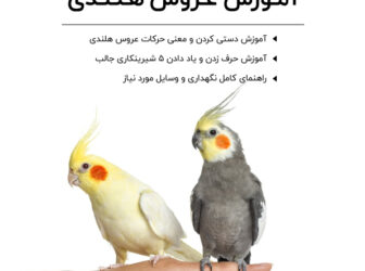 کتاب راهنمای جامع نگهداری و آموزش عروس هلندی در خانه