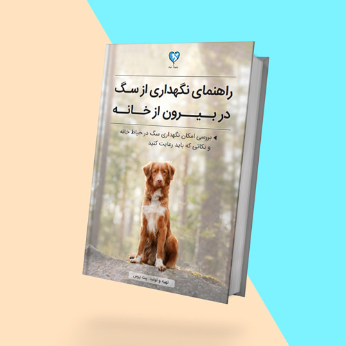 کتاب رایگان نگهداری سگ خارج از خانه