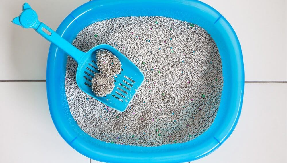 خاک مناسب برای دستشویی گربه