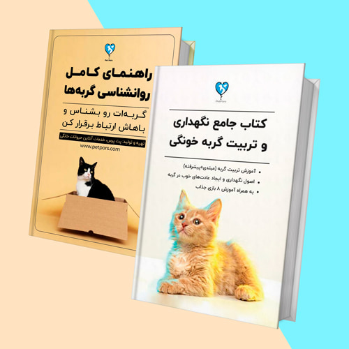 مجموعه کتاب تربیت و روانشناسی گربه