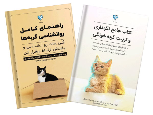 مجموعه کتاب تربیت و روانشناسی گربه