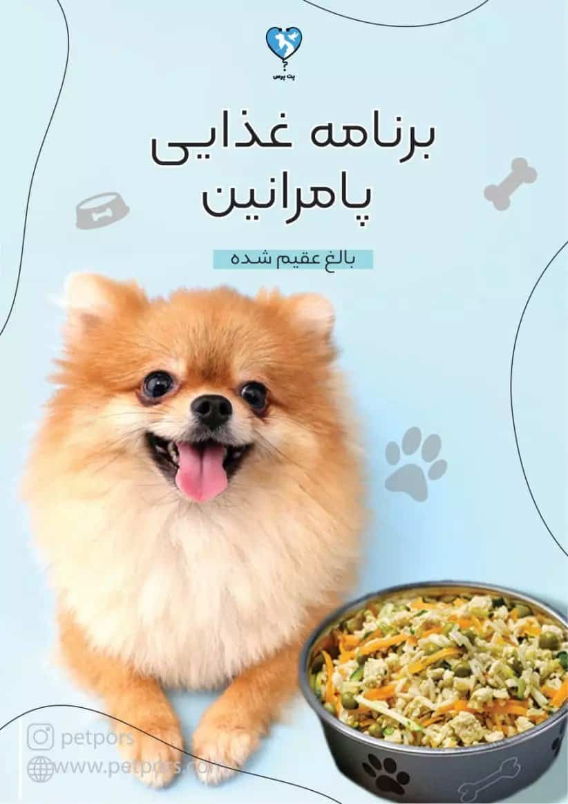 برنامه غذایی مخصوص سگ پامرانین بالغ یا توله سالم (فایل آماده)