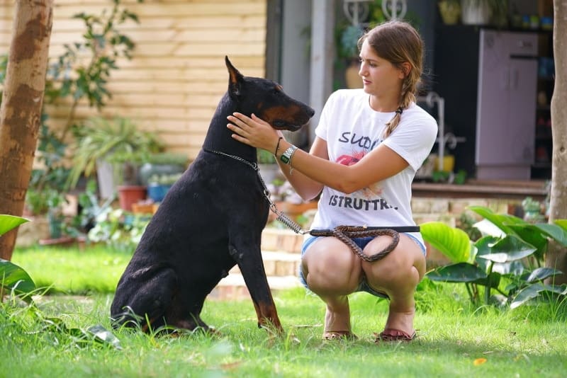 سگ دوبرمن تربیت شده در کنار یک دختر