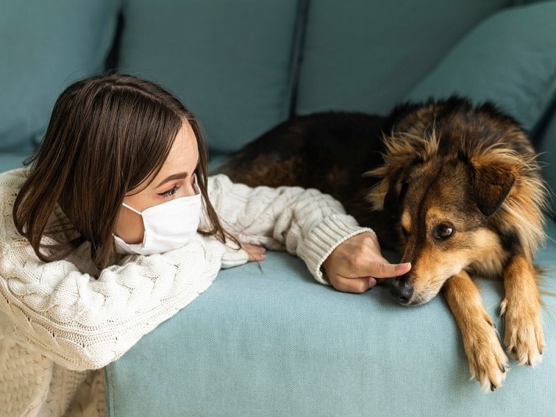 درمان خانگی تنگی نفس سگ ها