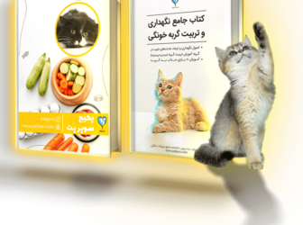 پکیج عیدی گربه: برنامه غذایی 2ماهه+ ارتباط با دامپزشک + کتاب تربیت و نگهداری گربه (الکترونیکی)