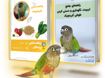 پکیج عیدی گرینچیک: برنامه غذایی در همه سنین+ کتاب تربیت و نگهداری گرینچیک (الکترونیکی)