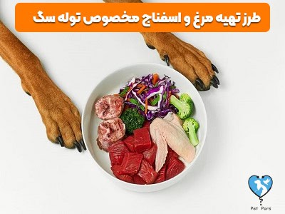 غذای توله سگ: مرغ و اسفناج