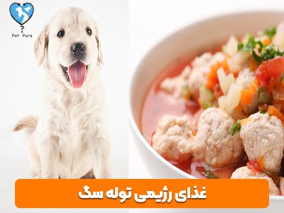 طرز تهیه غذای خانگی رژیمی توله سگ