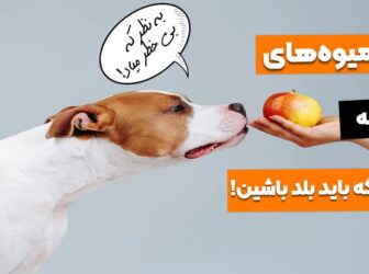 لیست میوه های ممنوعه برای سگ؛ هشدار مرگ!