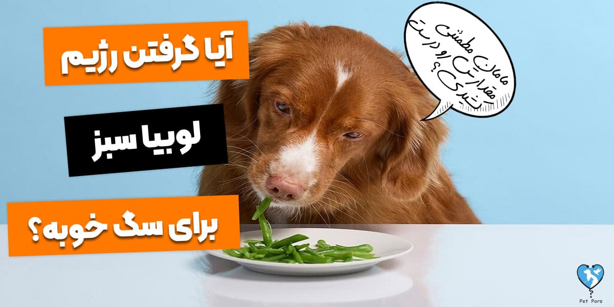لوبیا سبز برای سگ خوبه؟