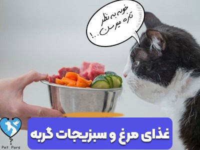 دستور پخت غذای خانگی مرغ و سبزیجات گربه 2 ماهه