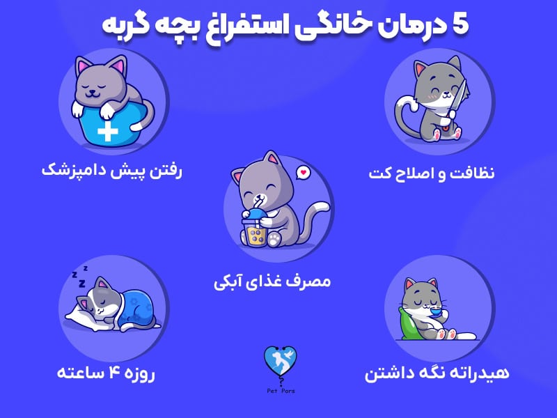 5 درمان خانگی استفراغ بچه گربه