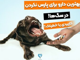 5 تا دارو برای پارس نکردن سگ! خطرناک یا کاربردی؟