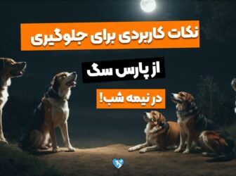 5 نکته کاربردی برای جلوگیری از پارس سگ در شب!