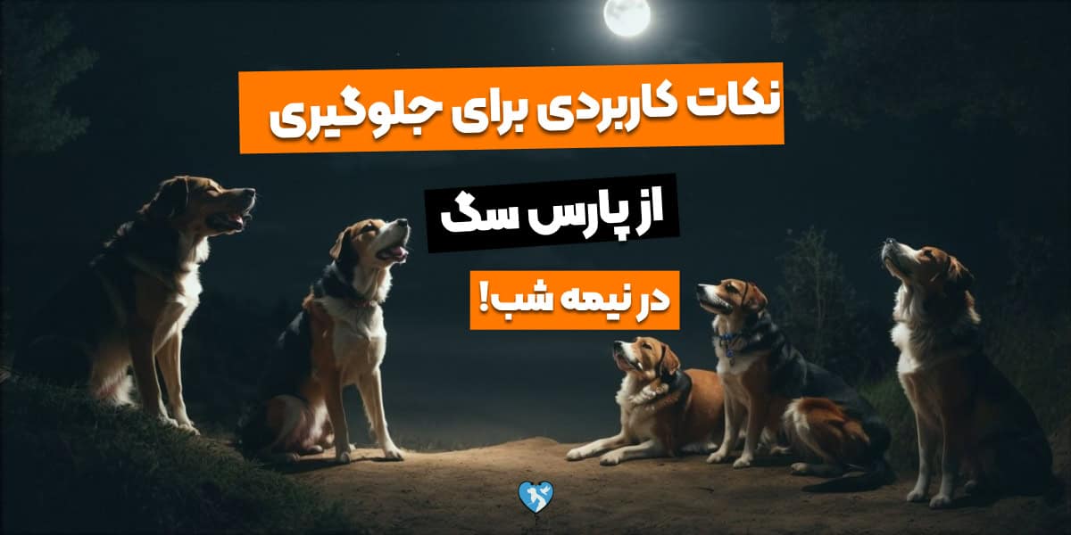 جلوگیری از پارس سگ در شب